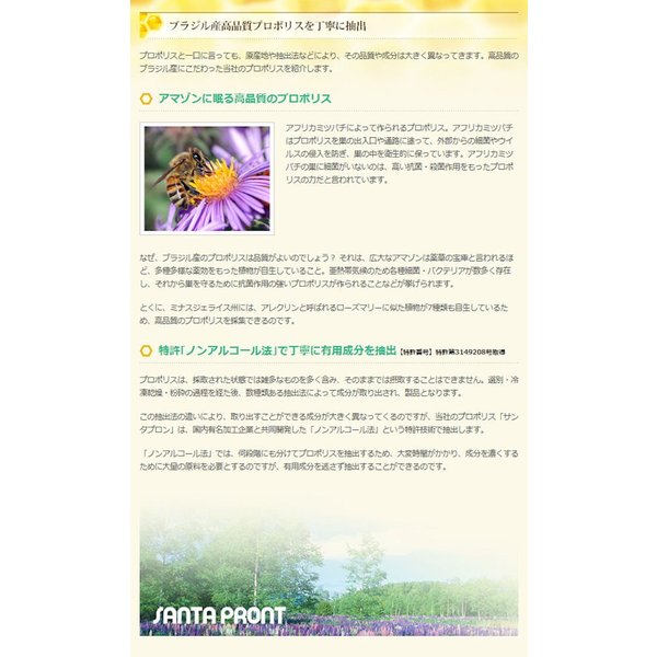 飲みやすい高品質プロポリス サンタプロンS 100cc【2個セット】 【金運招き猫シール付】ブラジル産 特許取得 天然 アミノ酸 ビタミン ミネラル 健康食品 サプリメント 栄養補助食品 飲みやすい高品質プロポリス サンタプロンS 100cc【2個セット】 【金運招き猫シール付】ブラジル産 特許取得 天然 アミノ酸 ビタミン ミネラル 健康食品 サプリメント 栄養補助食品