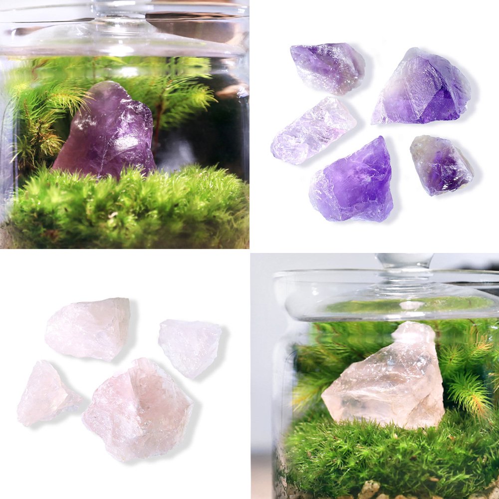 （観葉植物）苔テラリウム　地球の歴史を感じよう　鉱石・化石レイアウト３種セット　アンモナイトスライス　アメジスト　ローズクオーツ　説明書付（１セット）　ＣＲＣ15―70―40―00―00