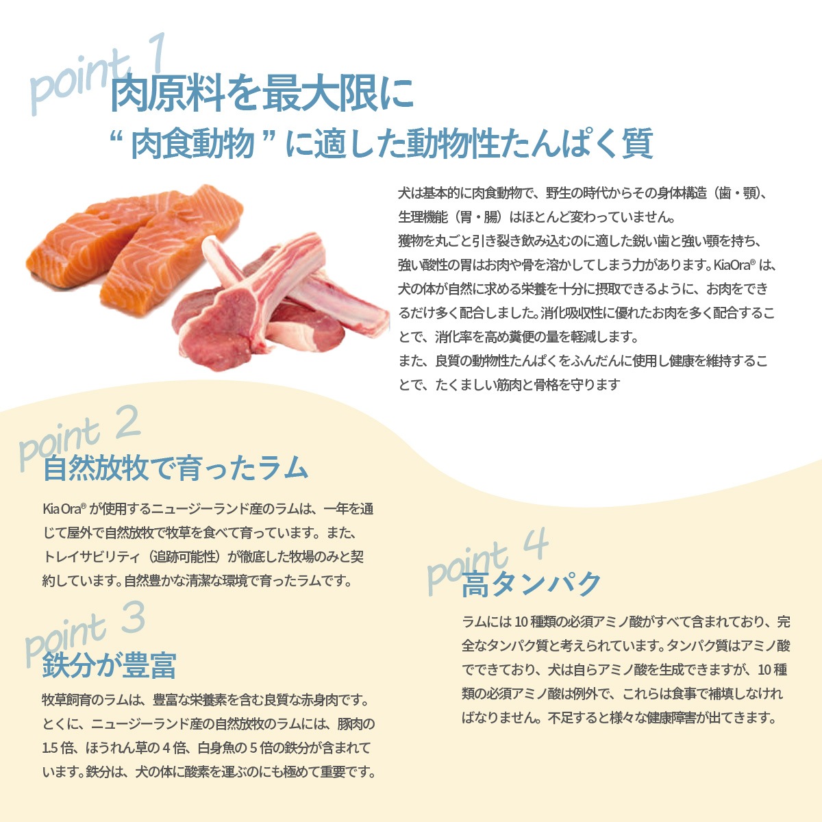 ドッグフード ラム＆サーモン 9.5kg【国産鹿ラング15g付き】