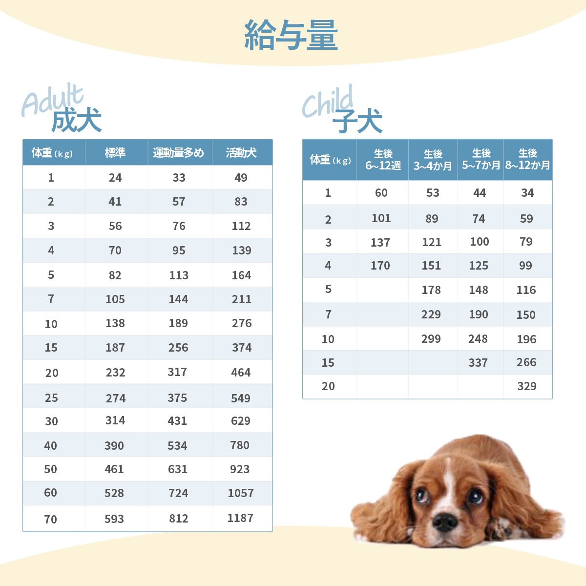 ドッグフード ラム＆サーモン 9.5kg【国産鹿ラング15g付き】
