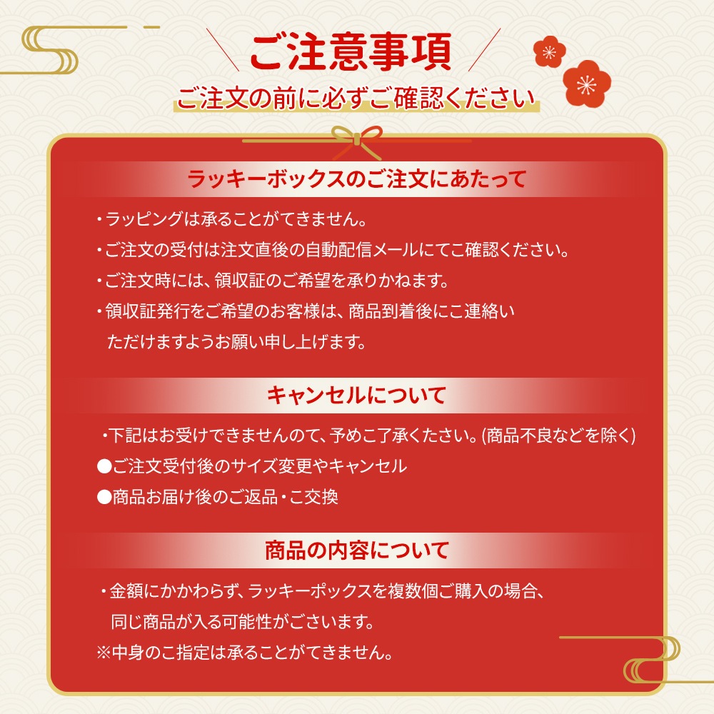 素肌つるつるセット 2025福袋 ラッキーボックスA スキンケア 3点セット 4点セット 2点セット 温冷美顔器 必ず１点購入 プレゼント