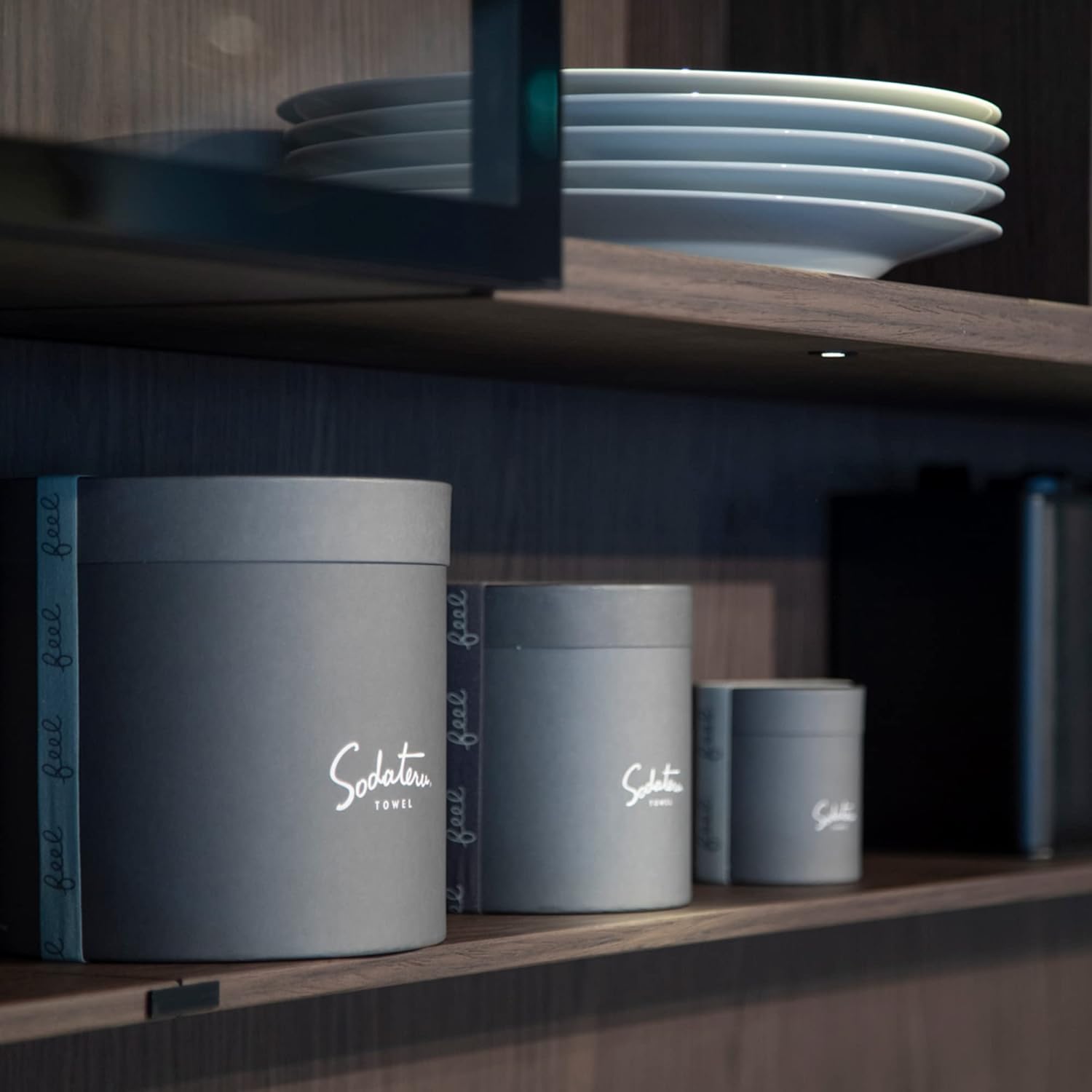 育てるタオル feel バスタオル ムーングレージュ 茶系 60×120cm 綿100％ ボックス入り SD-FEEL-BGG