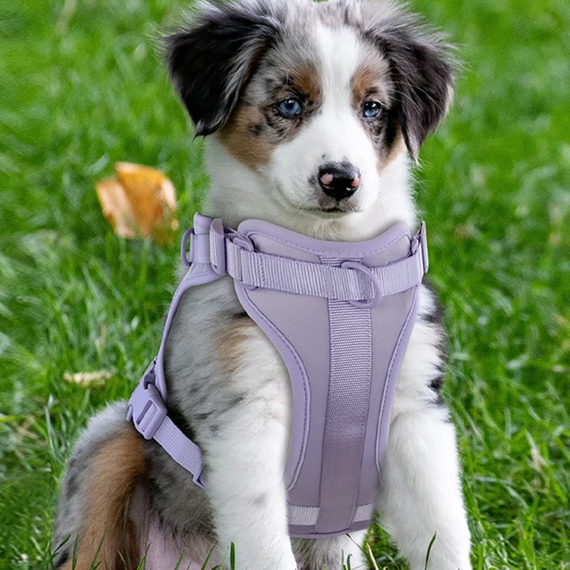 ダブルドッグハーネスとリーシュセット,PVC,快適で通気性のある調節可能なチェストストラップ,カラーベルト,ハーネス,ベルト