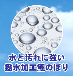 【廃盤】鯉のぼり こいのぼり 鯉のぼり ベランダ用 こいのぼり ベランダ用 マンション スタンド付き 家紋 染入れ 龍光 桐箱付き 送料無料 コンパクト ミニ新作 秀光 限定品 【廃盤】鯉のぼり こいのぼり 鯉のぼり ベランダ用 こいのぼり ベランダ用 マンション スタンド付き 家紋 染入れ 龍光 桐箱付き 送料無料 コンパクト ミニ新作 秀光 限定品