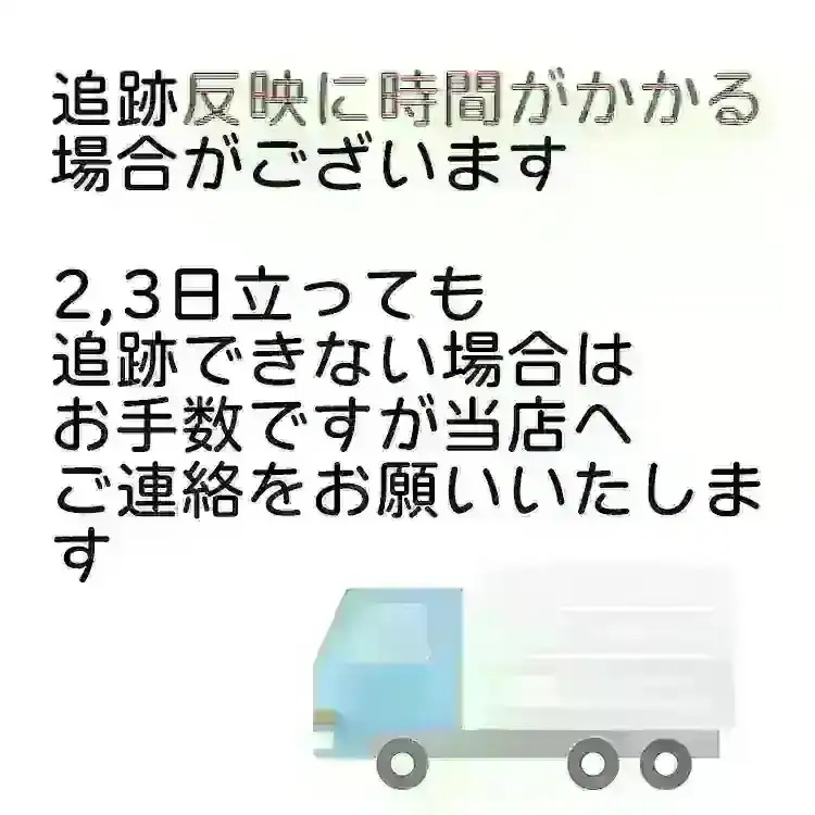 国内発送 NCT WISH [ PHOTO BOOK ] ONE SUMMER WISH @ SEOUL MD / 公式グッズ