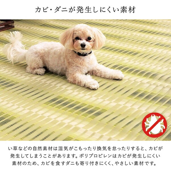 洗える ござ カーペット 江戸間6畳 約261x352cm グリーン 国産