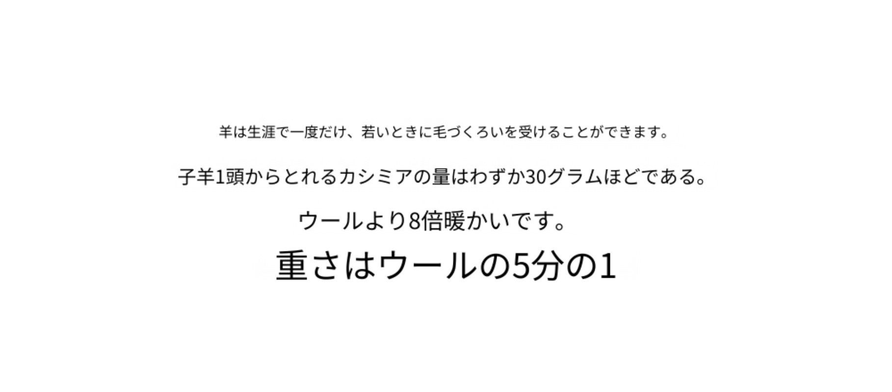 THE R*W 同じスタイルのカスタマイズカラー/カシミア & キャメルヘア & マルベリー シルク & ハイカウント ウール コート THE R*W 同じスタイルのカスタマイズカラー/カシミア & キャメルヘア & マルベリー シルク & ハイカウント ウール コート
