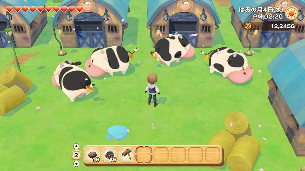 Switch 牧場物語 オリーブタウンと希望の大地 ゲームソフト