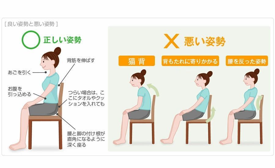背もたれ クッション ランバーサポート クッション 腰痛対策 低反発クッション 腰楽 クッション 腰痛対策 オフィス 車用 背中クッション 腰痛緩和 姿勢矯正 猫背改善 プレゼント【敬老の日】 背もたれ クッション ランバーサポート クッション 腰痛対策 低反発クッション 腰楽 クッション 腰痛対策 オフィス 車用 背中クッション 腰痛緩和 姿勢矯正 猫背改善 プレゼント【敬老の日】