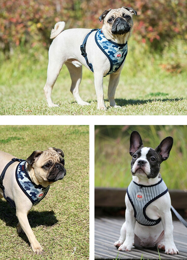 ハーネス リード セット 犬 首の負担が少ない 小型犬 中型犬 子犬 パピア PUPPIA 可愛い ハーネス犬用 犬のハーネス 柔らかい ベストハーネス パピー 超小型犬 極小 簡単装着 抜けない 脱 ハーネス リード セット 犬 首の負担が少ない 小型犬 中型犬 子犬 パピア PUPPIA 可愛い ハーネス犬用 犬のハーネス 柔らかい ベストハーネス パピー 超小型犬 極小 簡単装着 抜けない 脱