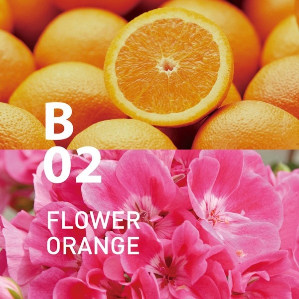 アットアロマ エッセンシャルオイル2本セット B02 フラワーオレンジ 10ml アットアロマ エッセンシャルオイル2本セット B02 フラワーオレンジ 10ml