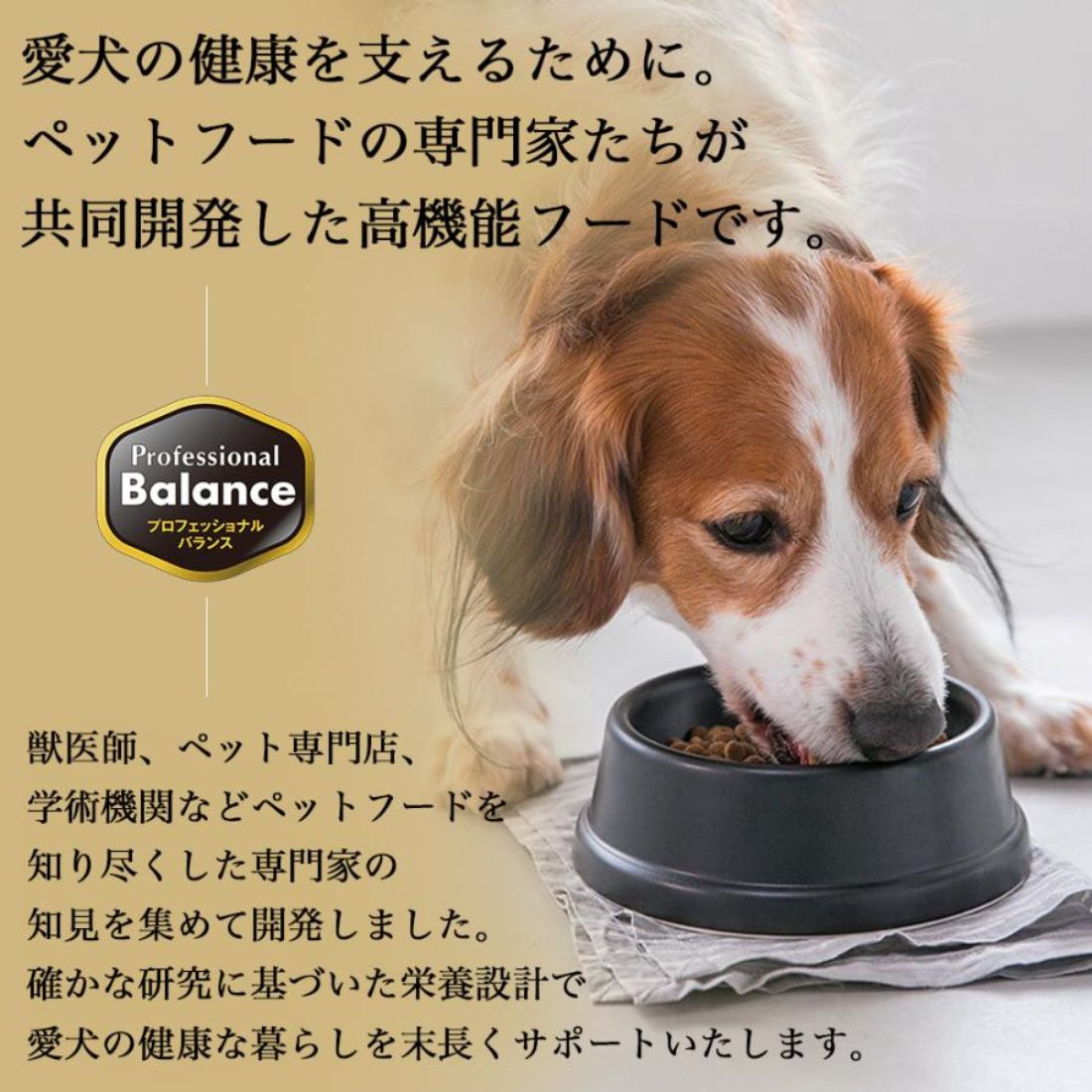 【選べるプレゼント付】プロフェッショナルバランスアレルゲンケア＆pHコントロール1歳から成犬用3kg