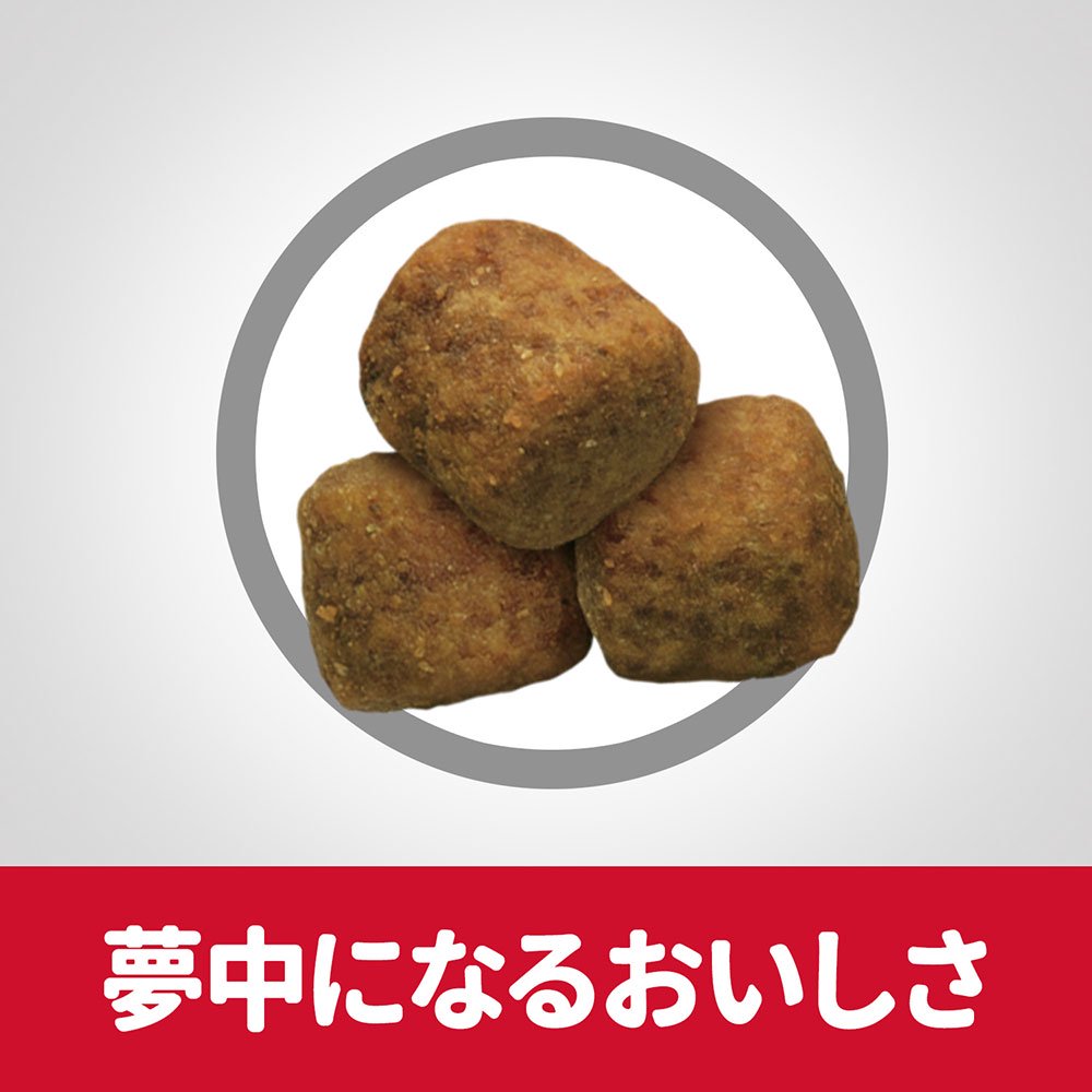 ドッグフード サイエンスダイエット アダルト 1歳ー5歳 大型犬種用 成犬用 チキン 12kgX2袋 ヒルズ 犬 CRC45―05―19―10―72 ドッグフード サイエンスダイエット アダルト 1歳ー5歳 大型犬種用 成犬用 チキン 12kgX2袋 ヒルズ 犬 CRC45―05―19―10―72