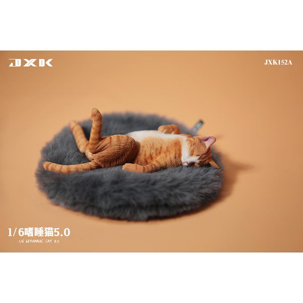 眠猫@プロフィール閲覧推奨 Qoo10] JXK 1/6 サイズ 猫 家猫 眠そう