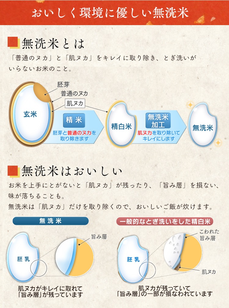 無洗米 無... : 米・雑穀 20kg 北海道産ゆめぴりか 格安人気