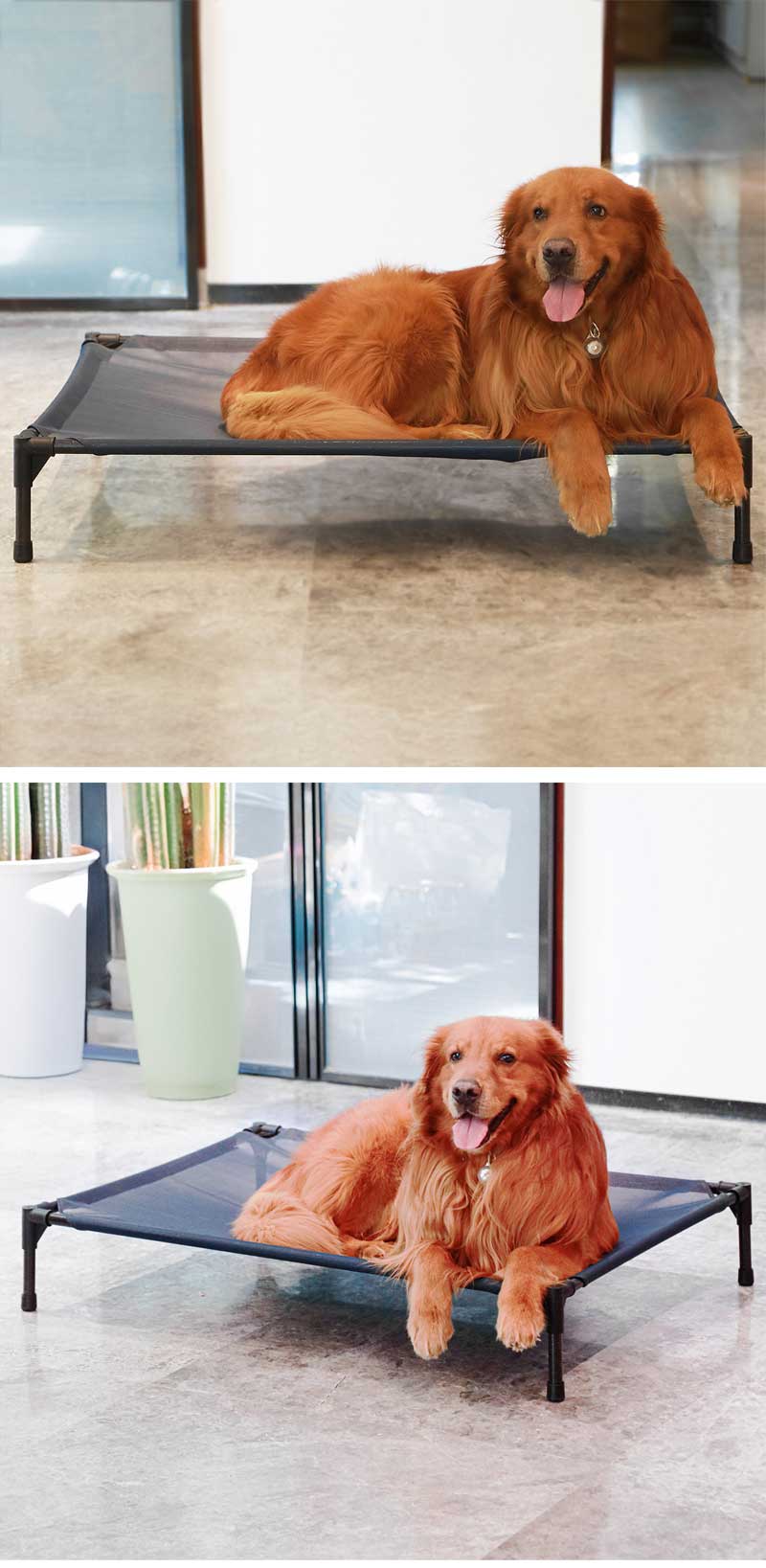 【お買い物祭!全品P5+1800円OFFクーポン】ペットベッド 脚付き コット型 キャンプベッド 犬 地面から離れ 春 梅雨 夏 地面に離れ 高床 耐噛み メッシュ通気 組立簡単 通気性抜群 頑丈 【お買い物祭!全品P5+1800円OFFクーポン】ペットベッド 脚付き コット型 キャンプベッド 犬 地面から離れ 春 梅雨 夏 地面に離れ 高床 耐噛み メッシュ通気 組立簡単 通気性抜群 頑丈