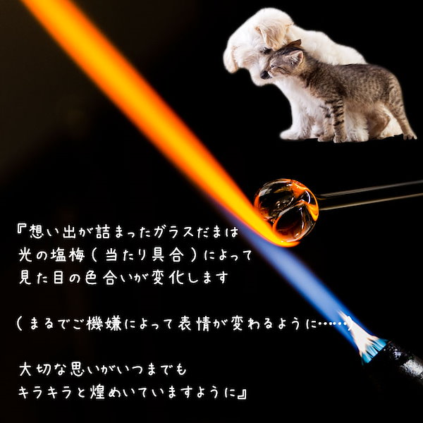 宇宙　ガラスの猫 宇宙 ガラスの猫 宇宙 ガラスの猫 1,000個限定で大人気「宇宙猫