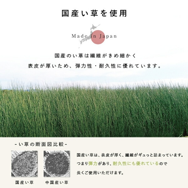 置き畳 国産 い草 簡単 和室 ベビー キッズ プレイマット フロアマット 約82x82cm 単品 置き畳 国産 い草 簡単 和室 ベビー キッズ プレイマット フロアマット 約82x82cm 単品
