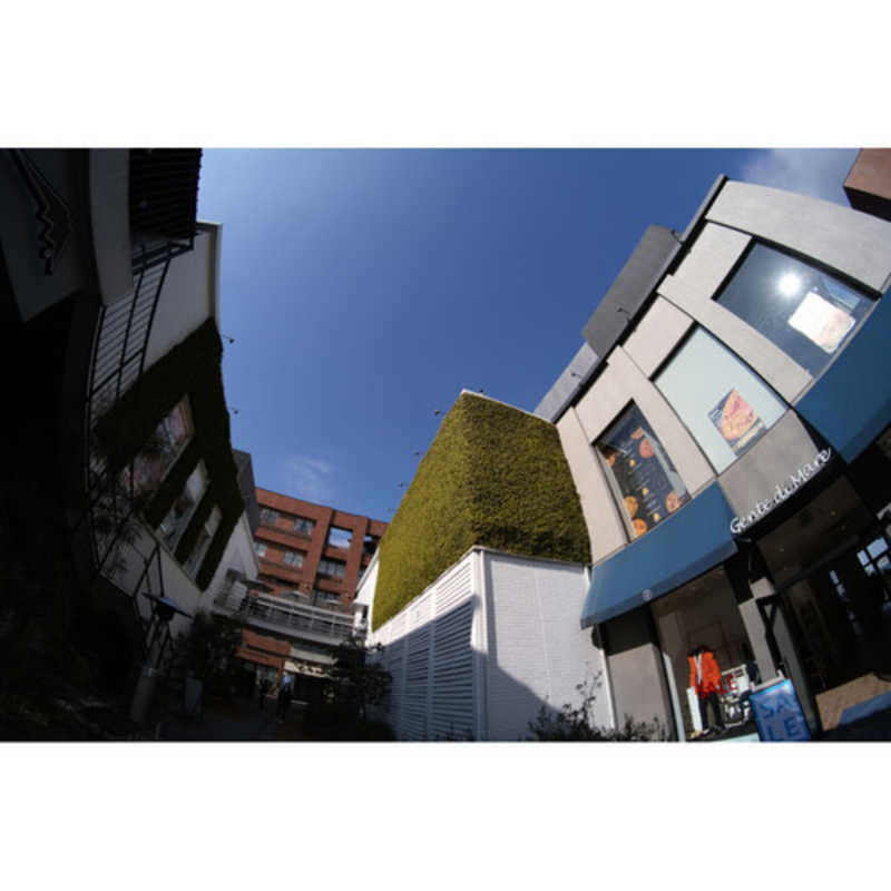 ケンコー　カメラレンズ (ソニーE用/APS-C用)　SZ 8mm F2.8 FISH-EYE MF