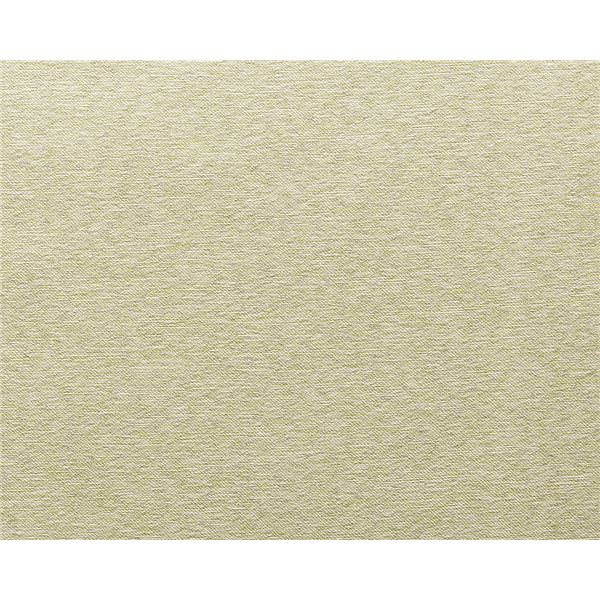 遮光カーテン 幅200cm×丈140cm 1枚 無地 イエローグリーン 3級遮光 洗える 日本製 タッセル付き 形状記憶 防炎カーテン