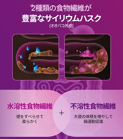 【SET】 腸をきれいにパプルセット/健康なダイエットには健康な腸から始まる/トックスオロジー＋チャジョンザピオロジー/健康なダイエットを悩んでる方にお勧め/