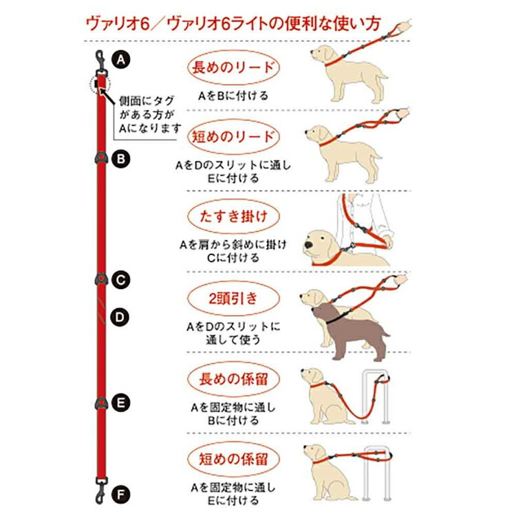 【人気商品】EZ リード ヴァリオ6ライト EZYDOG 【人気商品】EZ リード ヴァリオ6ライト EZYDOG