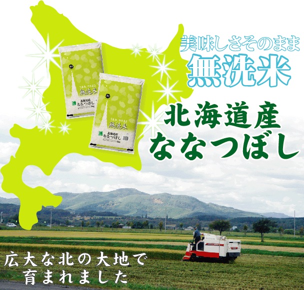令和6年産 無洗米 北海道産ななつぼし 10kg (5kgx2袋) SI 令和6年産 無洗米 北海道産ななつぼし 10kg (5kgx2袋) SI
