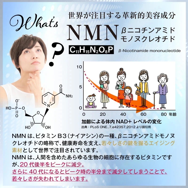 NMN含有量1粒に200mg以上保証 オイロストNMN プラチナム12000（1箱60粒入り）Ｘ12箱セット（約360日分）日本製　高純度