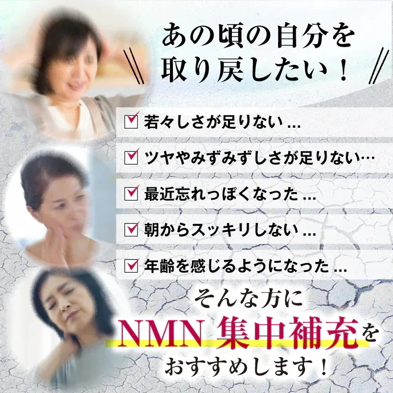 NMN含有量1粒に200mg以上保証 オイロストNMN プラチナム12000（1箱60粒入り）Ｘ12箱セット（約360日分）日本製　高純度