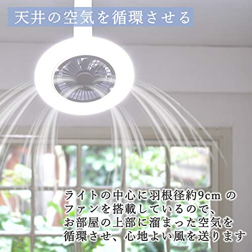 [山善] 導光板 FAN付き LEDミニライト 調色/調光タイプ 左右角度調節機能 白熱電球60W相