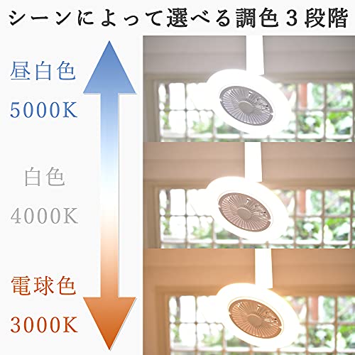 [山善] 導光板 FAN付き LEDミニライト 調色/調光タイプ 左右角度調節機能 白熱電球60W相