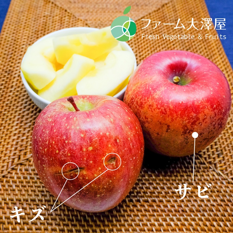 養田さんのはねだしりんご　サンふじ　サビキズあり　家庭用　約5kg　8-18玉　長野県志賀高原産