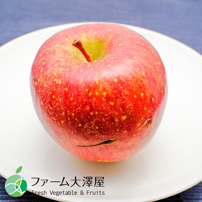 養田さんのはねだしりんご　サンふじ　サビキズあり　家庭用　約5kg　8-18玉　長野県志賀高原産