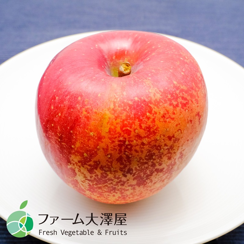 養田さんのはねだしりんご　サンふじ　サビキズあり　家庭用　約5kg　8-18玉　長野県志賀高原産