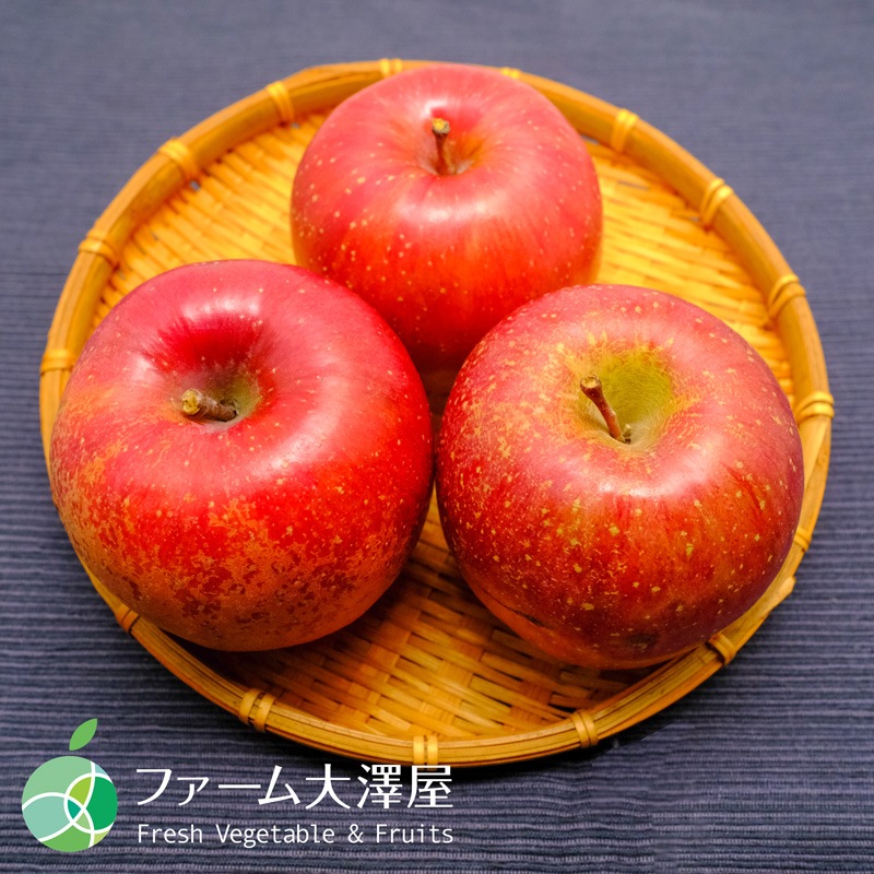 養田さんのはねだしりんご　サンふじ　サビキズあり　家庭用　約5kg　8-18玉　長野県志賀高原産