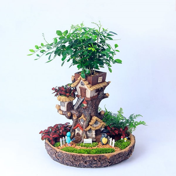 植木鉢　盆栽大鉢 楽天市場】桜盆栽：富士桜(信濃寒桜)*(鉢 現代小鉢作家 祥石(二