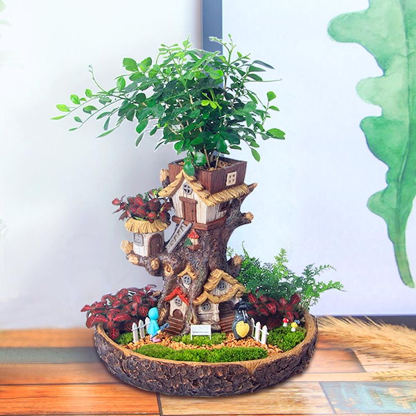 専用出品　コサク様　盆栽鉢三点 楽天市場】サボテン カクタス 柱サボテン 鬼面閣 金鯱