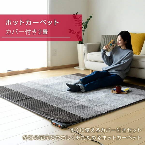 電気カーペット カバー付き (2畳タイプ) YZG-204DBR