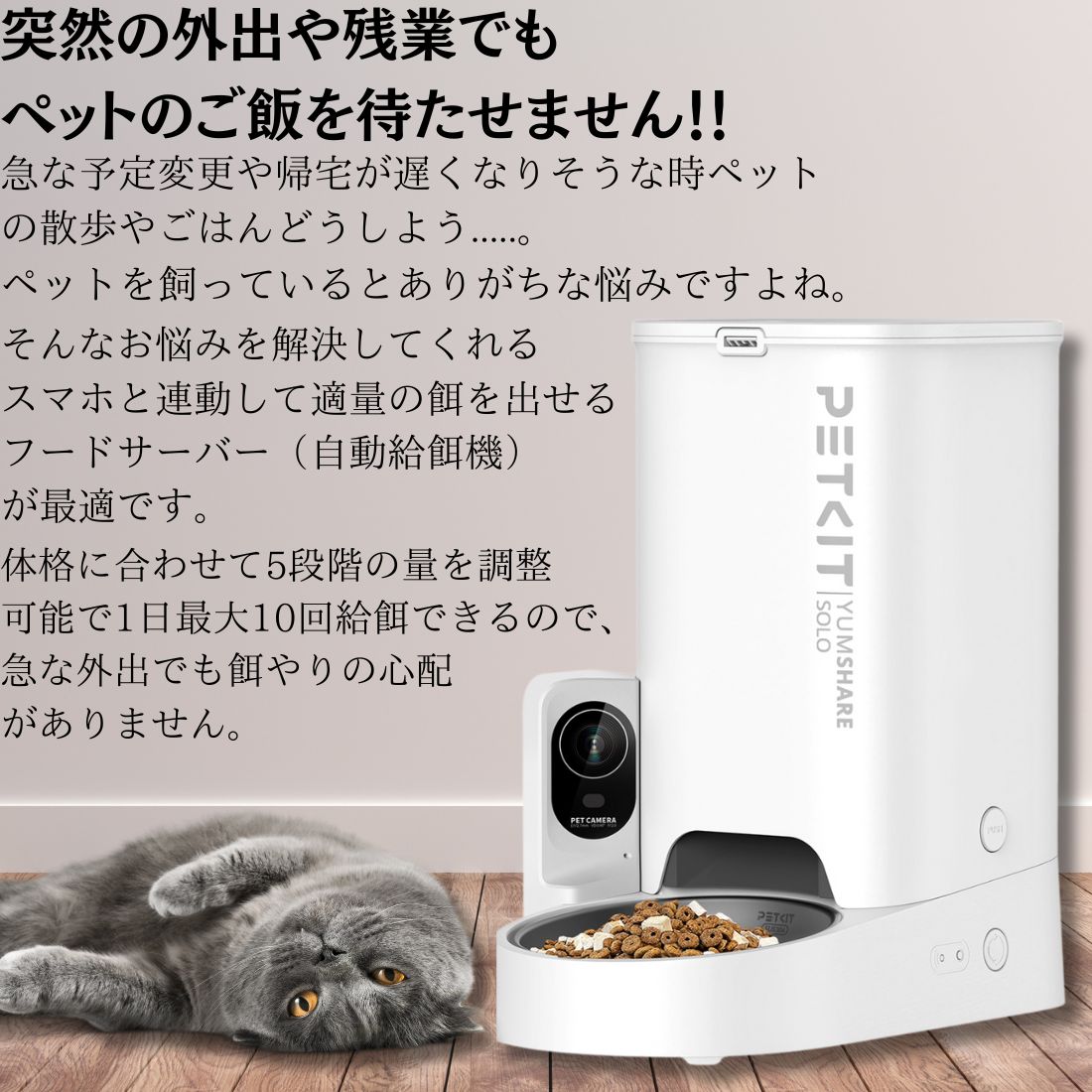 Qoo10] PETKIT 自動給餌器 犬 猫 ご飯 自動 餌 エサ