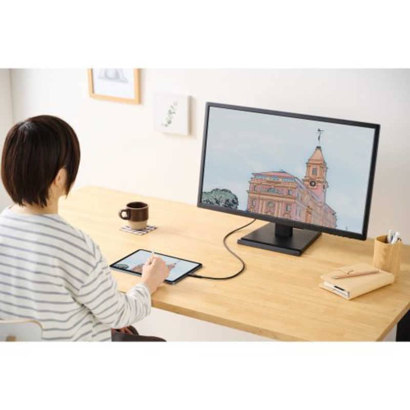 エレコム　ELECOM　映像変換ケーブル USB Type-C to HDMI　MPA-CHDMIS20BK2