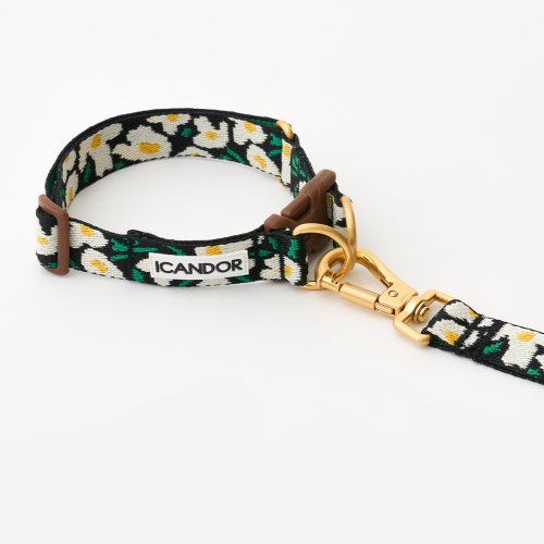 ペット リード ベルト GENTLE LEASH BOLT_BIG FISH ペット リード ベルト GENTLE LEASH BOLT_BIG FISH