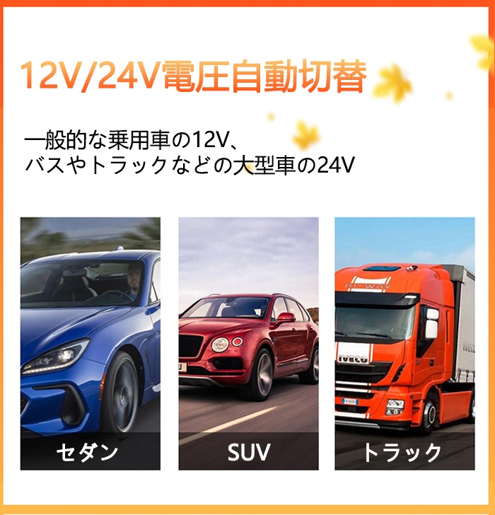 車用 シートヒーター 2人掛け 12V/24V車用 ホットシートヒーター 車用 座席 クッション ホットカーシート ヒーター内蔵シートカバー 運転席 助手席 シガー電源 DC12V 過熱保護 温度調整