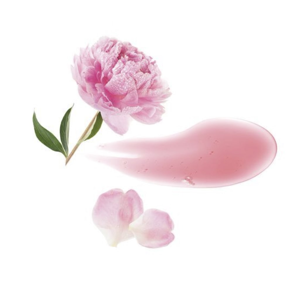 [1月オールヤングピック][敏感頭皮&頭皮鎮静] ピオニーシャンプー400ml企画(1 + 1)