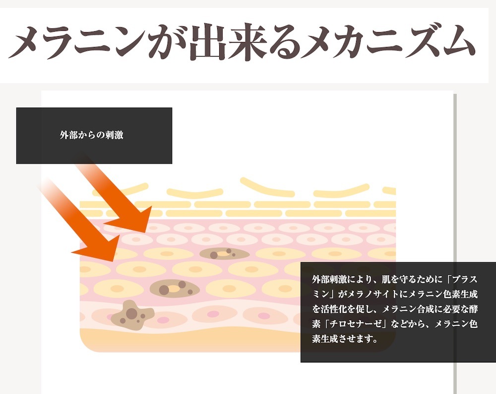 即納 デリケートゾーンの黒ずみ対策クリーム Be89 2本セット医薬部外品美白クリーム 30g 乳首 マタニティー 乳頭 バスト 黒づみ くろずみ 毛穴 ケア ボディクリーム レディース お尻