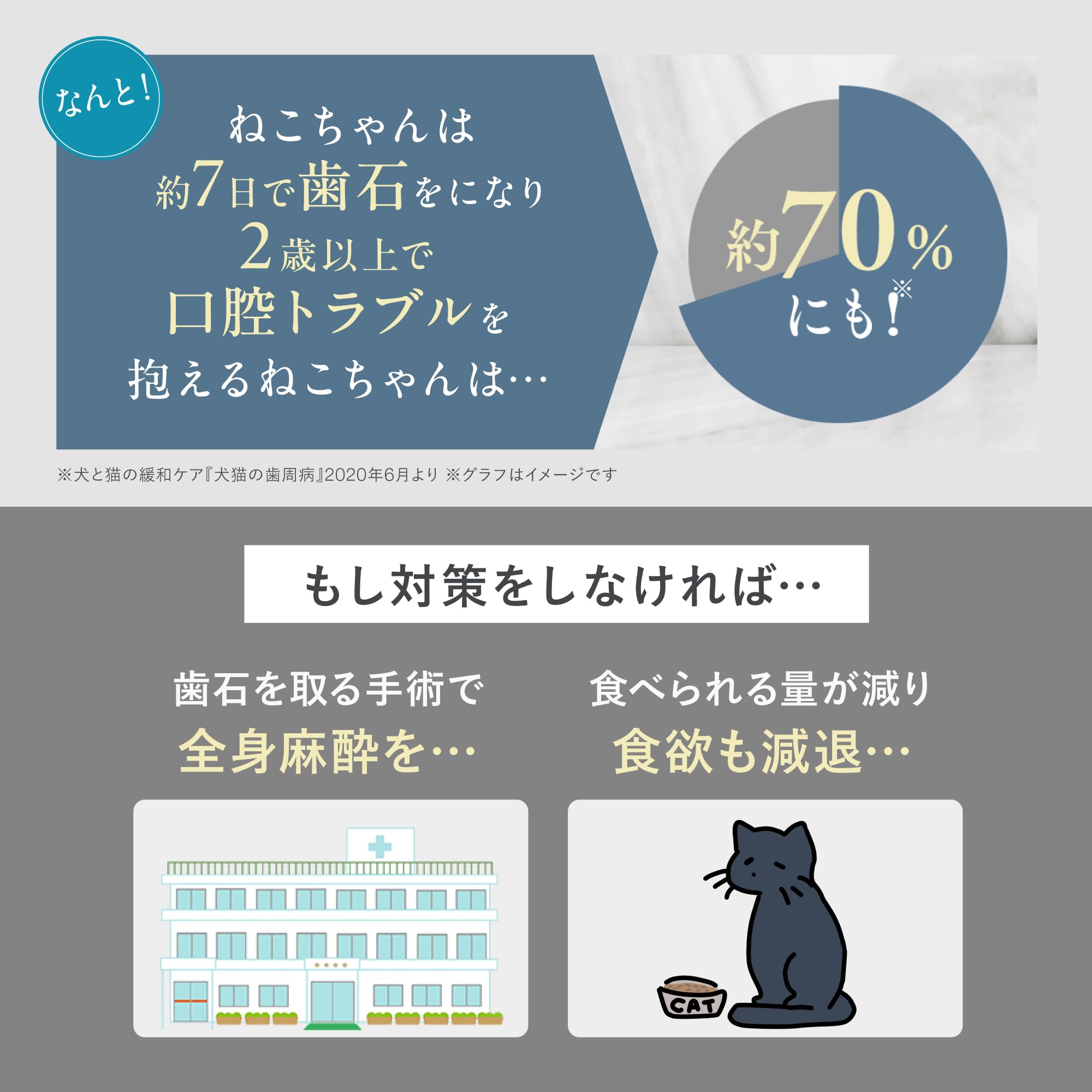 ［獣医師×ペット栄養管理士監修］ 犬猫生活 猫用 デンタルピューレ チキン＆まぐろブレンド 30本×1袋