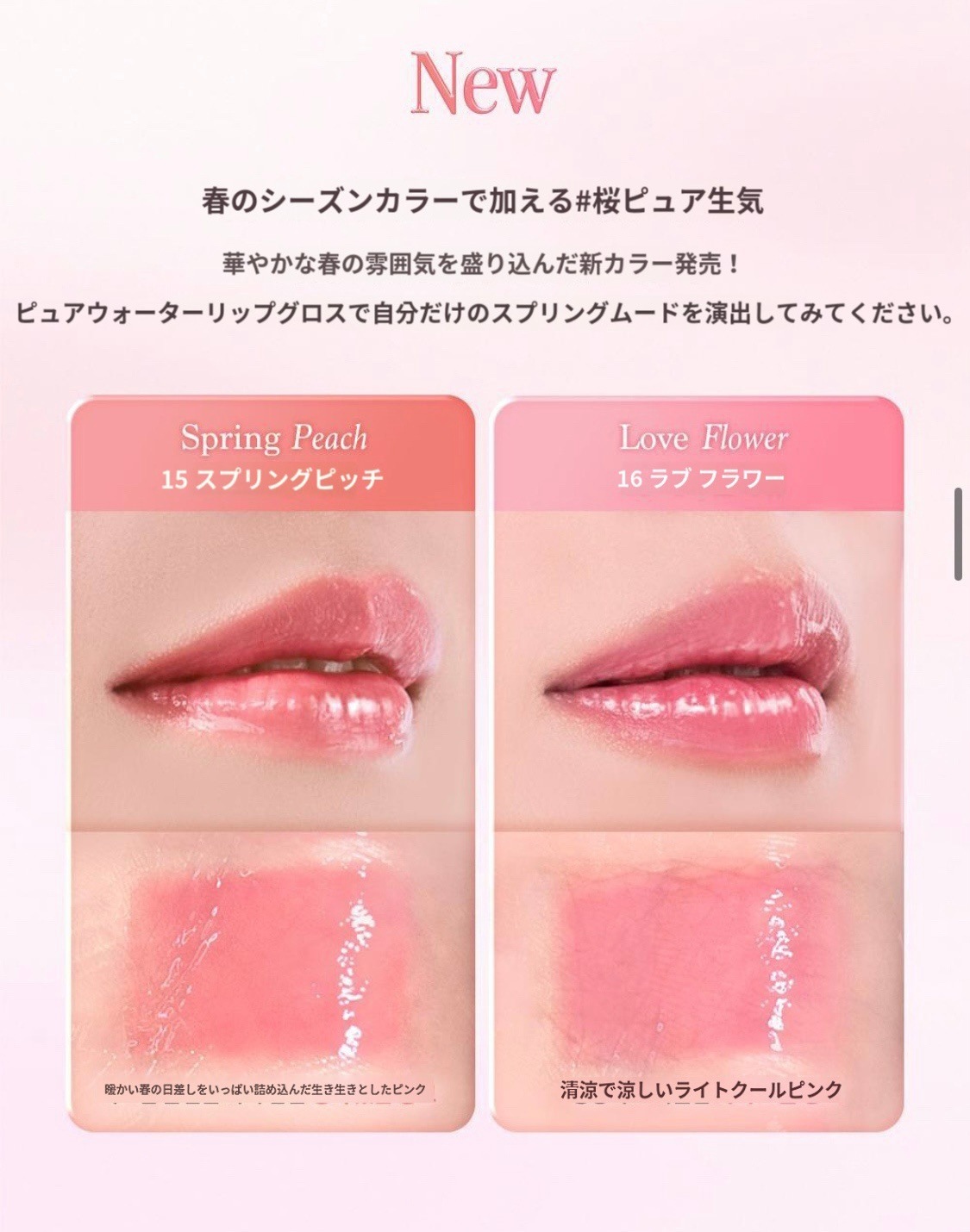 (NEW)6SET- ピンク ブロッサム シャドウ パレット 2種+ピュア ウォーター リップ グロス 2種+ブルーミング シングル シャドウ 2種 (NEW)6SET- ピンク ブロッサム シャドウ パレット 2種+ピュア ウォーター リップ グロス 2種+ブルーミング シングル シャドウ 2種