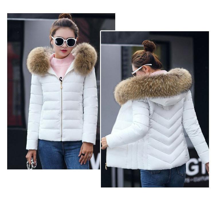 万能流行感 秋冬 ダウンコート レディース ダウンコート ショート フード付き おしゃれ レディース ダウンジャケット ショート丈 コート アウター 中綿 軽量 万能流行感 秋冬 ダウンコート レディース ダウンコート ショート フード付き おしゃれ レディース ダウンジャケット ショート丈 コート アウター 中綿 軽量