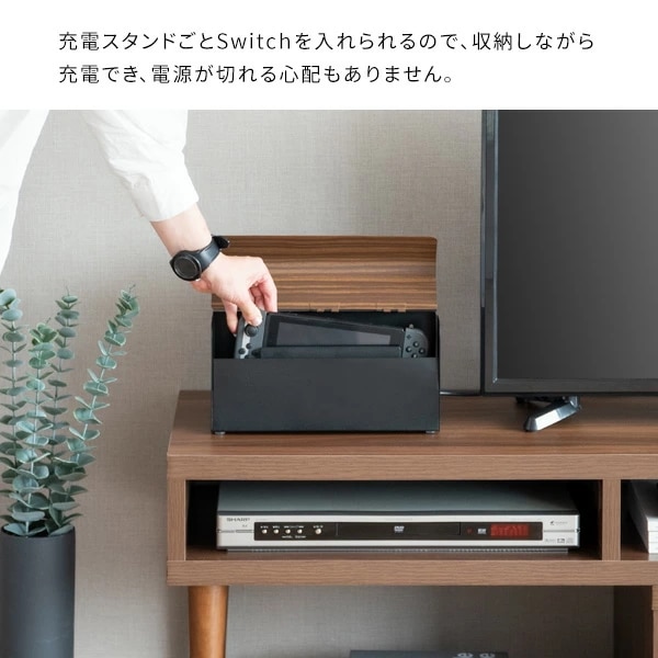 TEERゲーム機ケース 約幅28x奥行き9x高さ14cm ホワイト 完成品