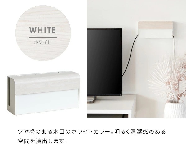 TEERゲーム機ケース 約幅28x奥行き9x高さ14cm ホワイト 完成品