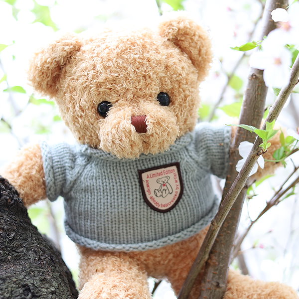 くま ぬいぐるみ テディーベア 楽天市場】くま ぬいぐるみ テディベア くまのぬいぐるみ くま